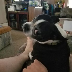 Meet your Posher, Brian